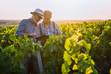 La fourniture de produits et solutions pour la conduite des cultures agricoles